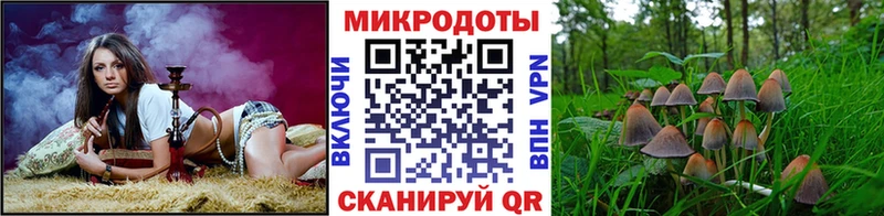 Купить закладки  Приморско-Ахтарск  Галлюциногенные грибы GOLDEN TEACHER 